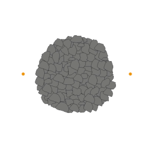 La Truffe Noire